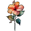 Hibiscus