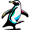 Pinguin