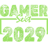 Gamer 2029