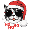 Coole Weihnachtskatze mit Sonnenbrille
