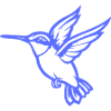 Hummingbird Bird
