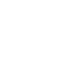 Sim Racing