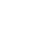 Sim Racing