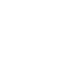 Sim Racing