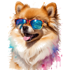 Pomeranian Pomeranian Sunglasses Dog Print