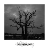 Wolfsburger Baum im Heinenkamp