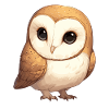 Barn Owl Schleiereulen Schleiereule
