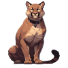 Cougar Mountain Lion Mountain Lion