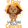 Sarcasm burned calories funny lion