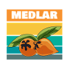 medlar autumn