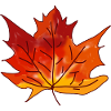 Maple Leaf Art