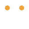 Volleyball Libero