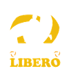 Volleyball Libero