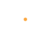 Volleyball Libero