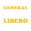 Volleyball Libero