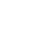 flying saucer