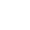 Donkey Friends Group Portrait
