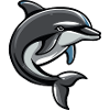dolphin
