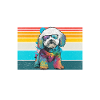 Cadeaux Bichon Frisé