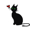 Chat noir