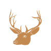 Season Hunting Deer