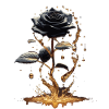 Schwarze Rose im Goldglanz