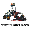 Curiosity killed the cat