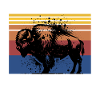 Save Bison