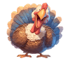 Turkey Turkeys Turkey