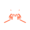 IAIDO
