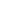 iaido
