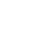 iaido