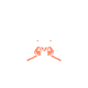 IAIDO