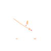 iaido