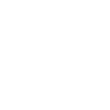 IAIDO