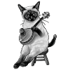 Siamese Cat Bluegrass Banjo Player