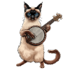 Siamkatze Bluegrass Banjo Spieler