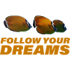 FOLLOW YOUR DREAMS
