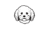 Cadeaux Bichon Frisé