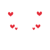 Cadeaux Bichon Frisé