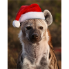 Christmas hyena