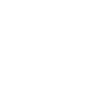 Middle Schnauzer