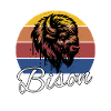 Bison Buffalo