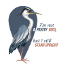 Joli oiseau