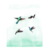 Hummingbirds