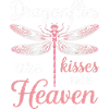 Dragonfly Dragonflies Insects Nature