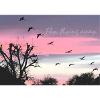 Fly, flying away. Nature tour.