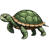 Trendige Schildkröte