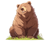 Bear Bären Bär