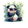 Pandas Panda